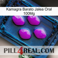 Cheap Kamagra Oral Jelly 100Mg 04